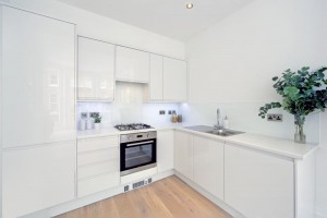 property-to-rent-nottingham-place-london-w1